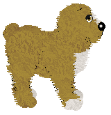 Setheac's Maple Flapjacks at Fleur de Lis — “Pancake”