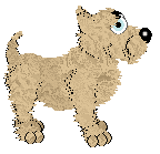 Cargo/Witz's Purity and Stability — “Zam”