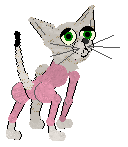 Xoops Eyes of Ra @ Mockingbird — “Mau”