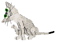 Profile image of Xoops Eyes of Ra @ Mockingbird