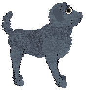 NSP Attention Hole @ Mockingbird — “Timoleon”