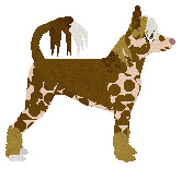 Dragosani NIEUCZESANA — “Tess”