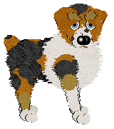 Sz's Every Effort To Do Well in All Areas of Life — “Dirk”