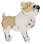 Pendragon's Preacher Man — “Rock”