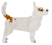 Converse NIE UMIEM MÓWIĆ NIE — “Nie”