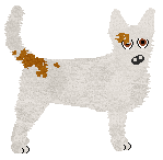 Profile image of Converse NIE UMIEM MÓWIĆ NIE