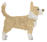 Converse TRAPOWE OPOWIADANIE — “Trap”