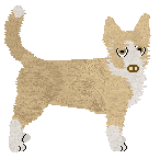 Profile image of Converse TRAPOWE OPOWIADANIE