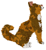 SECHE Pani Czerwonego Smoka — “Opal”