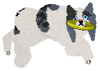 Dragosani RELIKT PRZESZŁOŚCI — “Ulfi”