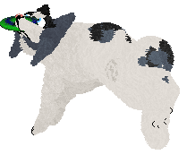 Dragosani RELIKT PRZESZŁOŚCI — “Ulfi”