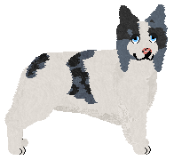 Dragosani RELIKT PRZESZŁOŚCI — “Ulfi”