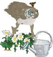 HUNCWOCI Perła w koronie — “Pearl”