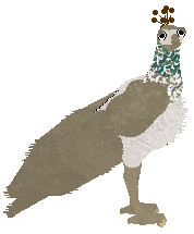 Profile image of HUNCWOCI Perła w koronie