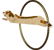 HUNCWOCI Dziecię Elfów — “Calineczka”