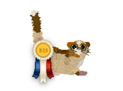 Profile image of HUNCWOCI Dziecię Elfów