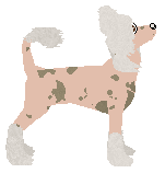 Converse MULBERRY STREET — “Mulberry”