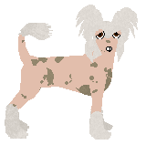 Profile image of Converse MULBERRY STREET