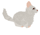 HUNCWOCI Płatek śniegu — “Gustaw”