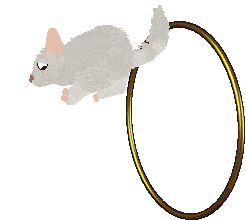 HUNCWOCI Płatek śniegu — “Gustaw”