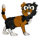 Lex's Farmer Church @ Mockingbird — “Bog”