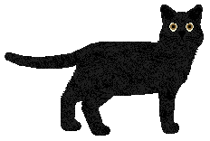 Airship Tigers Are Not Afraid — “Lightless”