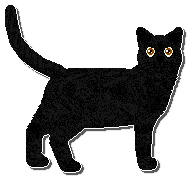 Profile image of Airship Eyes Without A Face