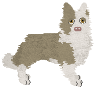 Crystal Rose's Lightning at Come Bye — “Eclair”