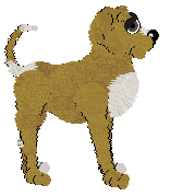 Stunt's Bitter Orange at Chachke — “Marmalade”