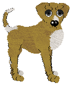 Stunt's Bitter Orange at Chachke — “Marmalade”