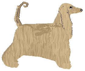 Converse DU SILBENA SATIA — “Satia”