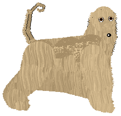 Profile image of Converse DU SILBENA SATIA