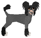 Profile image of Converse SHY AWAY