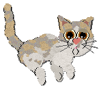 Profile image of ShortStuff Like A Straight Right