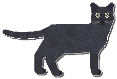 Profile image of Airship Better Than This