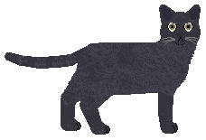 Airship Better Than This — “Fries”