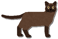 Profile image of Airship You Haven't Told Me Anything