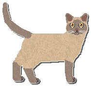 Profile image of Airship Perfect Symmetry