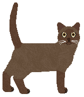 Airship You Don't See Me — “Money”