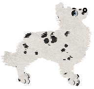 Profile image of Come Bye's High Priest