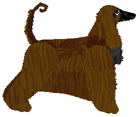 Converse NESSA ALCARIN — “Nessa”