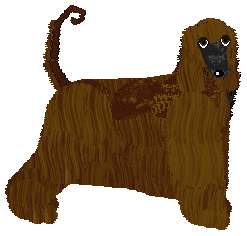 Profile image of Converse NESSA ALCARIN