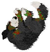 Cirrutopia's Reve Rouge et Vert at Vanilla — “Reve”