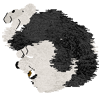 Come Bye's Bugs In Your Code — “Bellamy”