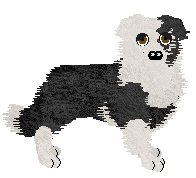 Profile image of Come Bye's Bugs In Your Code