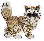 King's Snap, Crackle, Pop! at Vanilla — “Crackle”