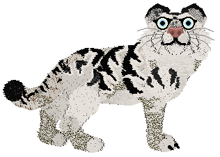 Xoops' Shadows in Snow at Vanilla — “Ferrox”