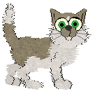 King's The Fox Says at Vanilla — “Fox”