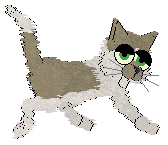 Profile image of King's The Fox Says at Vanilla