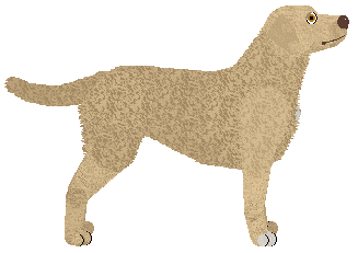 MORPHEE's Diabolos — “Dante”